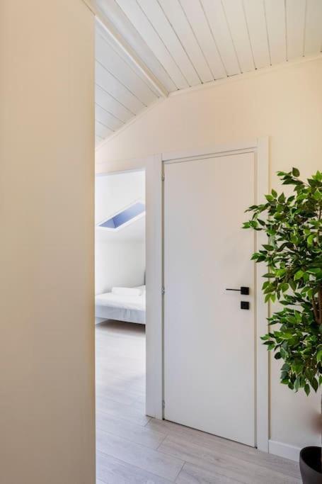 Stupendo Duplex In Centro A Appartamento *
